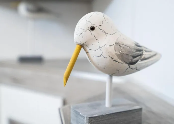 Haus Meeresgruss Seestern Grömitz